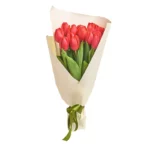 15 тюльпанов красного цвета