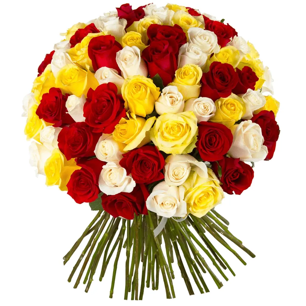 Розы Эквадор микс №1